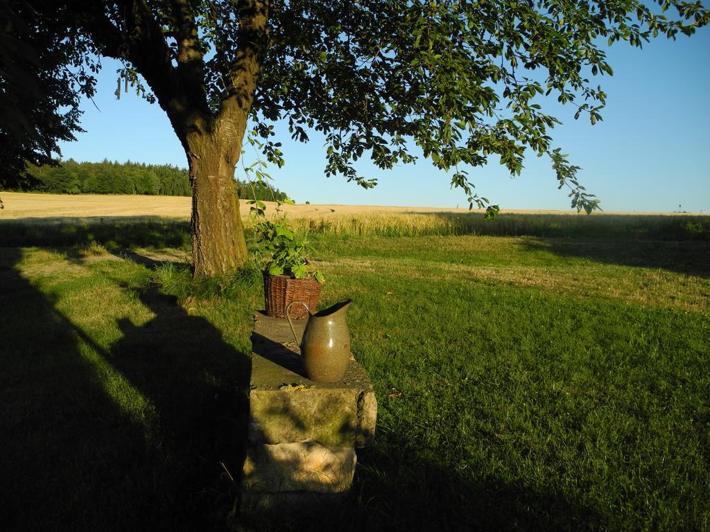 Alte Scheune Rietzschelhof Muglitztal Extérieur photo