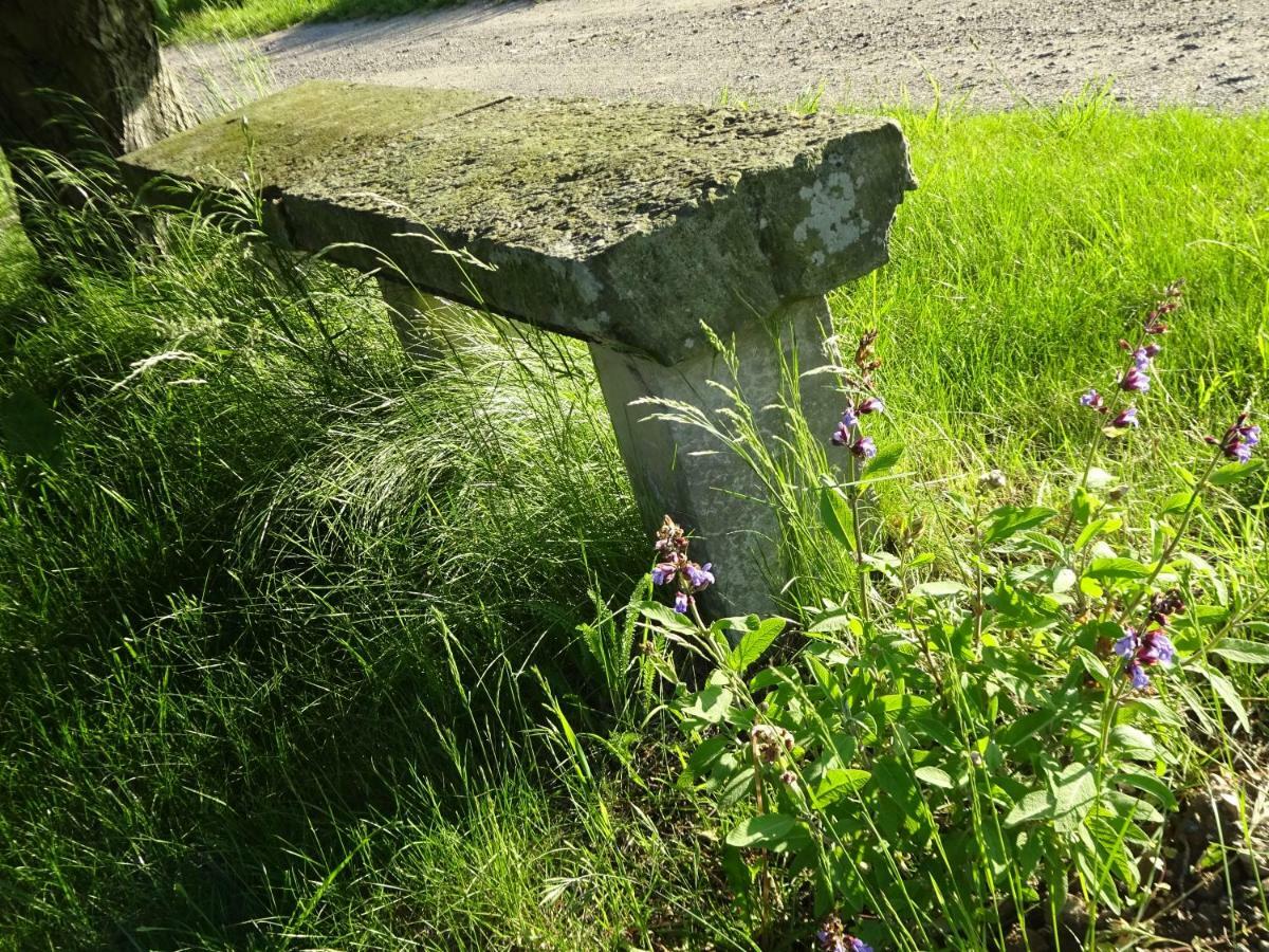 Alte Scheune Rietzschelhof Muglitztal Extérieur photo